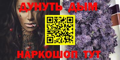 прущие грибы Усть-Джегута