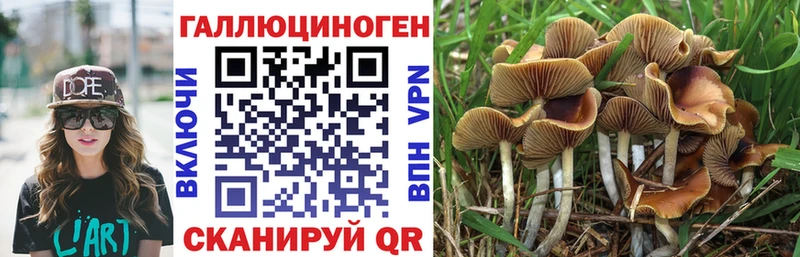 купить наркотик Холмск даркнет какой сайт Псилоцибиновые грибы мухоморы