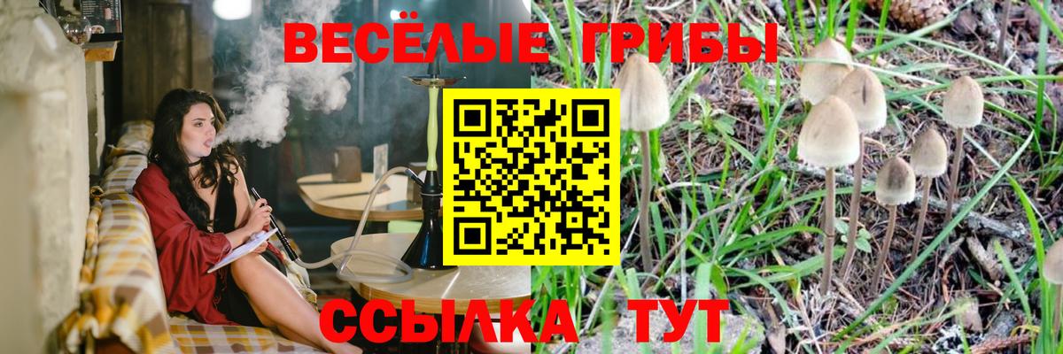 Псилоцибиновые грибы мухоморы  Вход с VPN  Холмск  Псилоцибиновые грибы мухоморы 